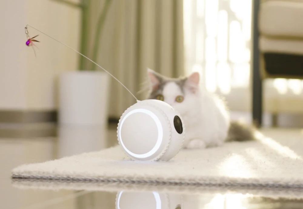 moving pet camera